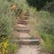 Rock Mountain Preserve Steps leading up the trail.