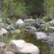 Cleveland National Forest