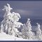 Diamond Peak: After Storm