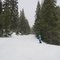 Green Circle Trail | Mt. Rose
