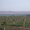 California / Blackwells Corner / nearby  Visalia