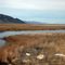 Ruby Marshes, looking to the N. up Ruby Valley