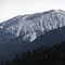 Slide Mountain from Whites Creek Trail