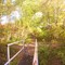 the old walk bridge in old forge