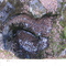 The Pothole at Archbald