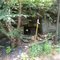 Old Coal Mine