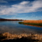 Ash Meadows NWR, NV