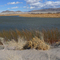 Peterson Reservoir