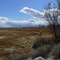 Peterson Reservoir