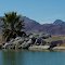 Desert Oasis