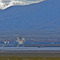 SolarOne. Solar energy, electricity generation facility