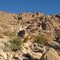 Wall of Rock