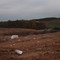 landfill