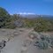 Pinenut Trail