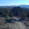 Pinenut Trail