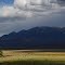 Stormy pastures