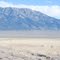 Balestracci Ranch-View of Pilot Peak