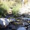 Nevada Stream
