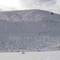 Sarah snowed