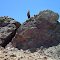 Rocky road altitude 8000