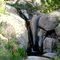 Hidden Pool