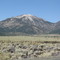 sweetwater summit landscape