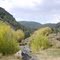 Desert Creek, Nevada