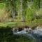 Upper Desert Creek