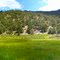 Nye Canyon Meadow