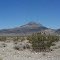 On the Bell Vista Road - Nevada - Pahrump
