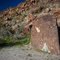 Petroglyphs in Grapevine Canyon