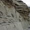 Wave ripples within deltaic deposits exposed along Mullen Creek.
