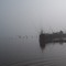 Foggy duck Hunt