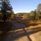 Black Forest, Colorado - Section 16 Trail