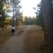 Black Forest, Colorado - Section 16 Trail