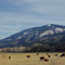 Near Maysville, CO