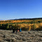 Colorado Fall