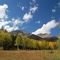 Mt. Shavano
