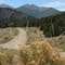 Jones Peak With Golden Brush in Foreground