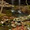 Kings River Side Falls 4