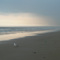 Old Orchard Beach