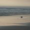 Old Ochard Beach