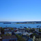 View from the Portland Observatory