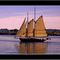 Sail at the Sunset