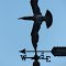 Soaring bird weathervane