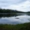 Hayes Marsh - Bear Brook State Park