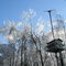 Ice Storm Bird House