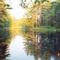 Bear Brook state park, 2004
