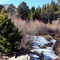 Colorado. Nice fall