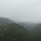Foggy day in the Valley